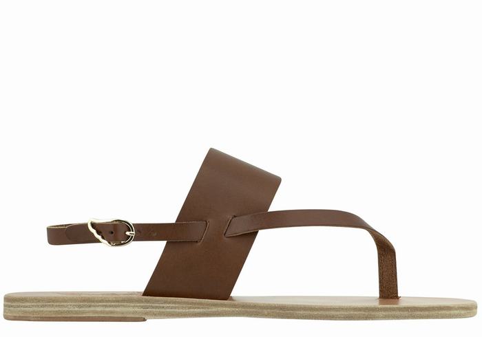 Ancient Greek Sandals Zoe Flip Flop Leather Sandaler Med Ryggreim Dame Mørke Brune | TDK6721RP