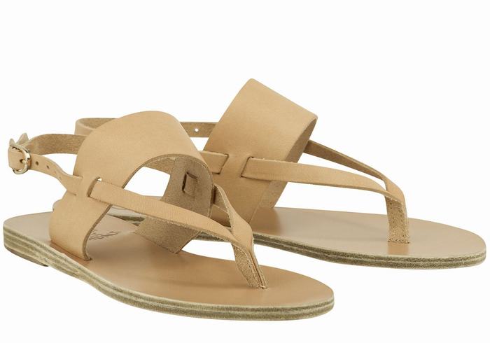 Ancient Greek Sandals Zoe Flip Flop Leather Sandaler Med Ryggreim Dame Beige | RXC1613SQ