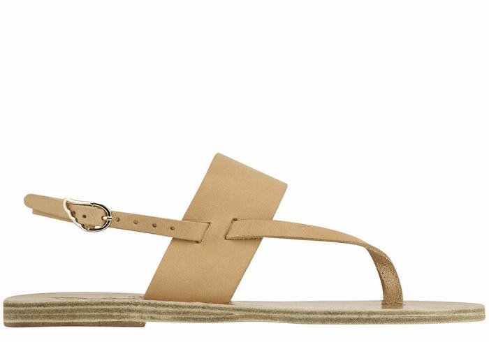 Ancient Greek Sandals Zoe Flip Flop Leather Sandaler Med Ryggreim Dame Beige | RXC1613SQ